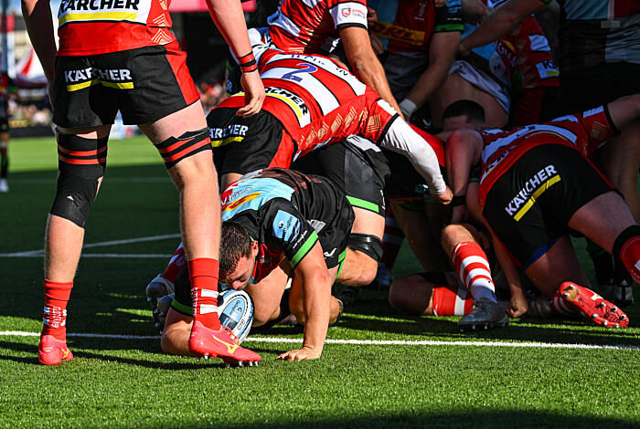 Pronostic NEC Harlequins Saracens